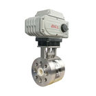 Proportional Control DCL IP67 Smart Electric Actuator