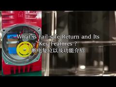 Αντιεκρηκτικός Ηλεκτρικός Ενεργοποιητής IP68 CSA Επαναφορά Απενεργοποίησης Modbus